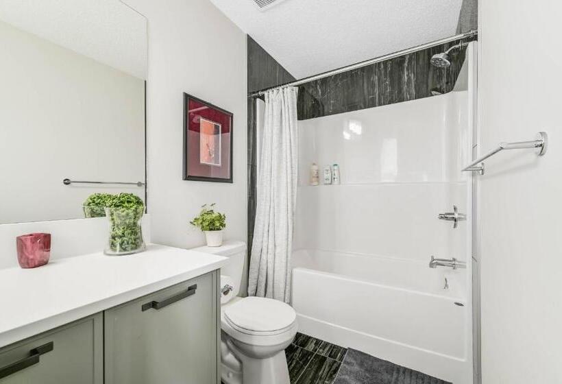 Brand New 3 Bedroom Home In A Quiet Neighborhood