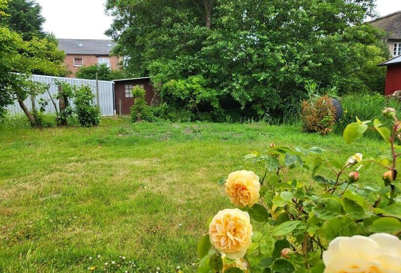 Ferienhaus Dhh Unsere Reetdachbude