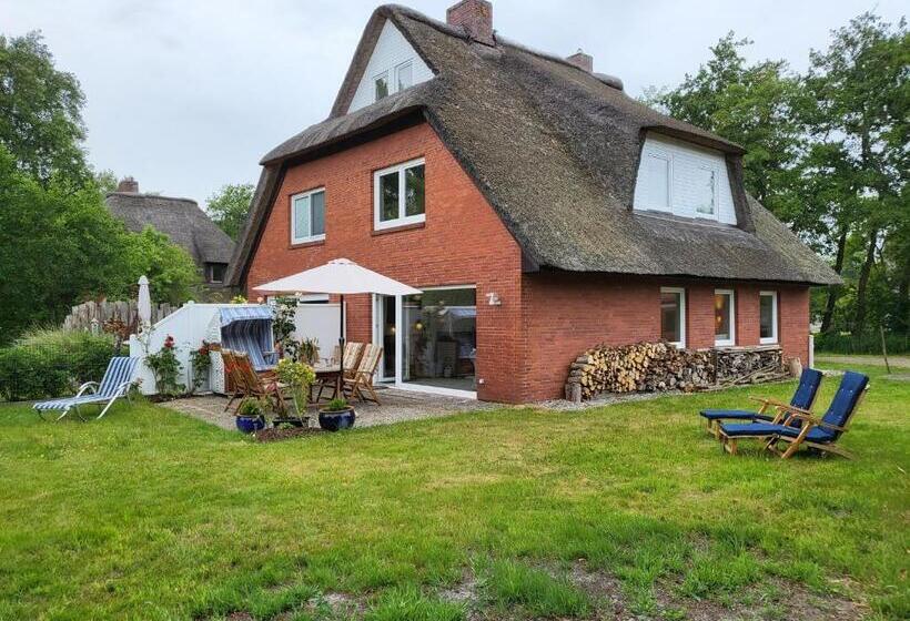 Ferienhaus Dhh Unsere Reetdachbude