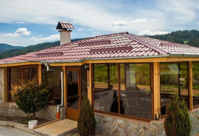 Отель семеен хотел елеганс   борино