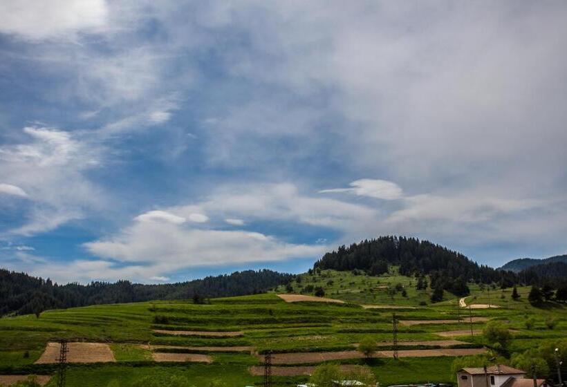 Отель семеен хотел елеганс   борино