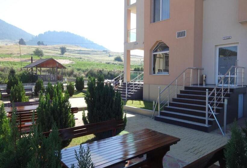 Отель семеен хотел елеганс   борино