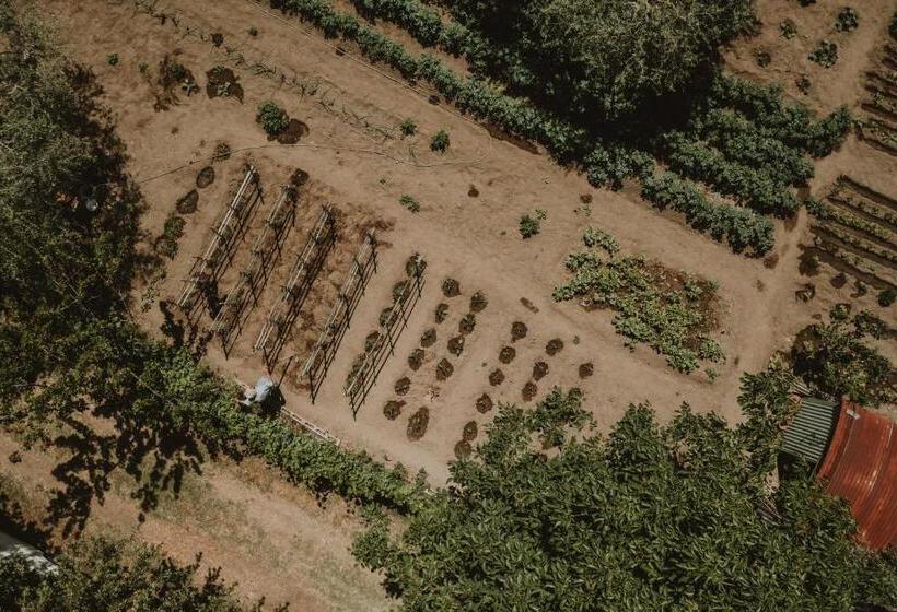 בית מלון כפרי Agriturismo Cerqueto