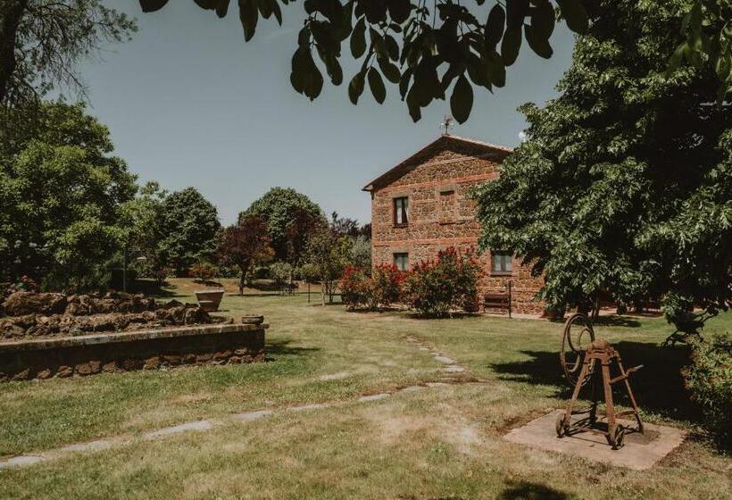 בית מלון כפרי Agriturismo Cerqueto