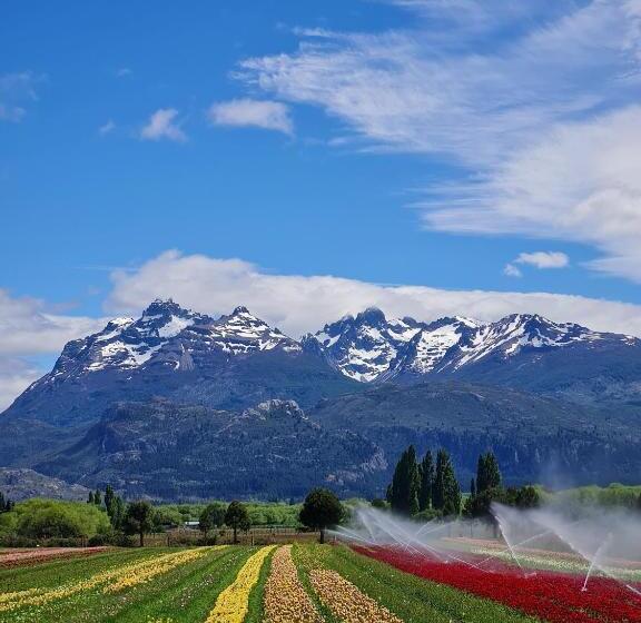 La Amarilla Epuyén Studio