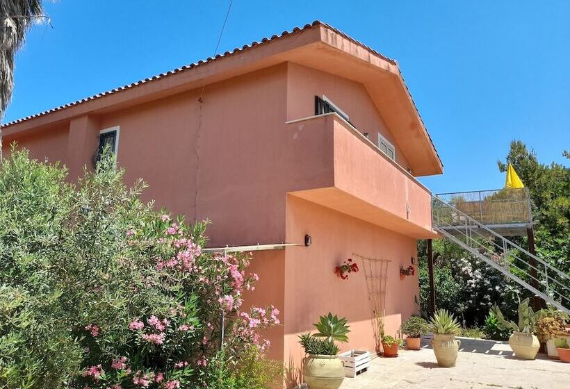 Margherita S Nest By The Sea With Birds Song