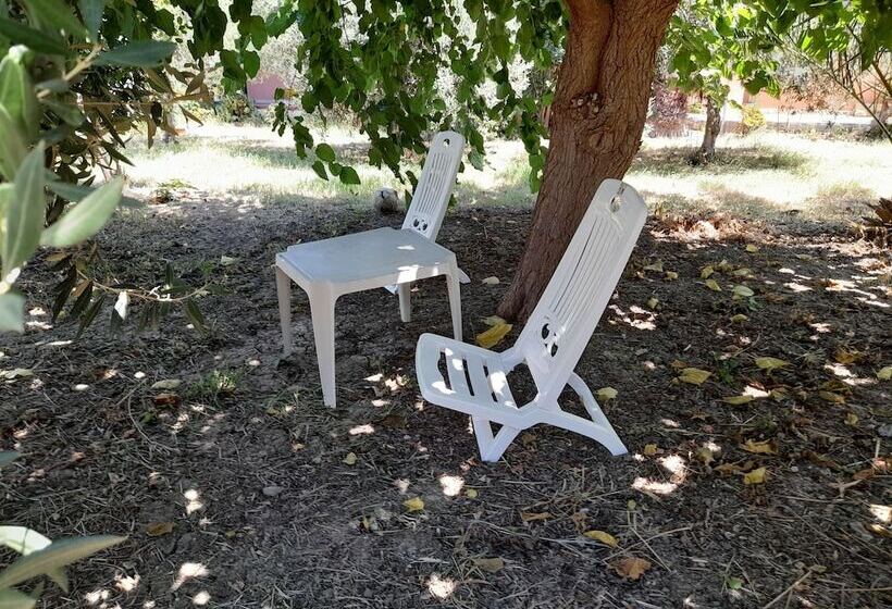 Margherita S Nest By The Sea With Birds Song