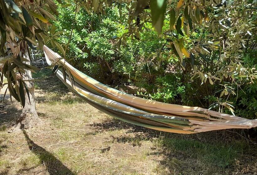 Margherita S Nest By The Sea With Birds Song