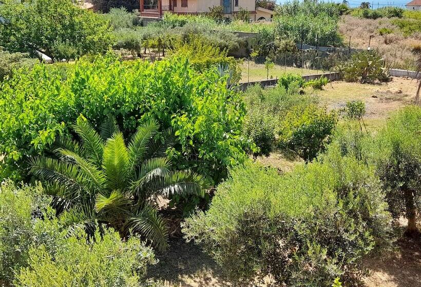 Margherita S Nest By The Sea With Birds Song