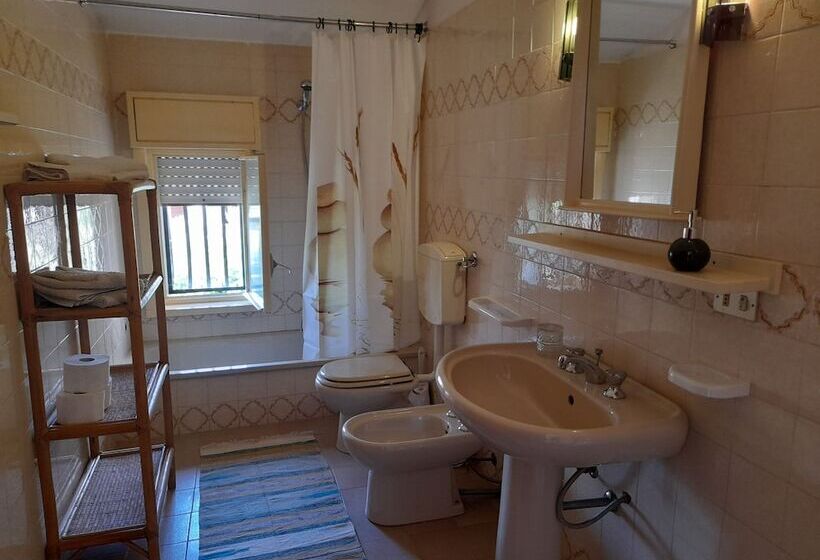 Margherita S Nest By The Sea With Birds Song