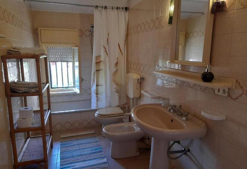 Margherita S Nest By The Sea With Birds Song