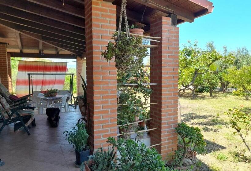 Margherita S Nest By The Sea With Birds Song