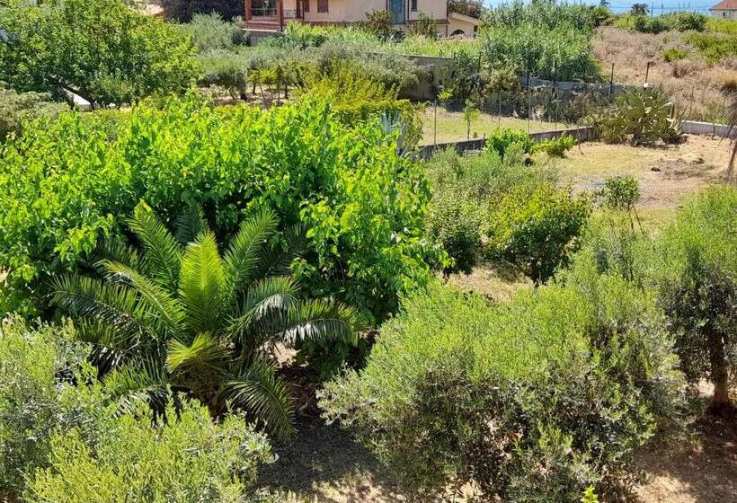 Margherita S Nest By The Sea With Birds Song