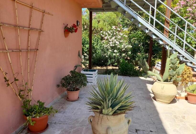 Margherita S Nest By The Sea With Birds Song