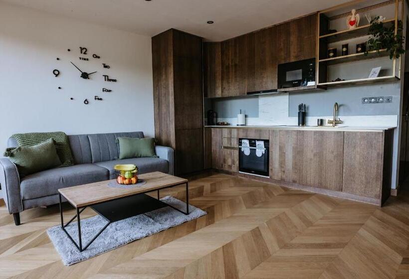 Minimalist Design Penthouse Kosice Old Town