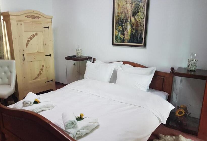 פנסיון вила поликсения петиня