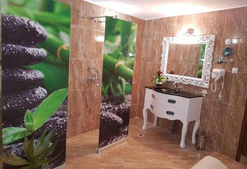 פנסיון вила поликсения петиня