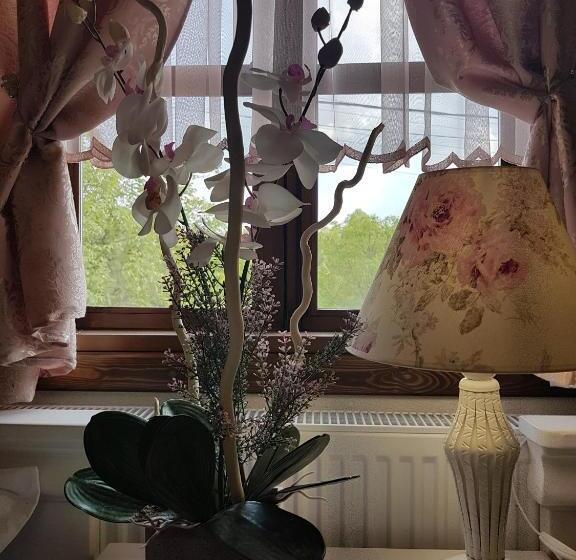 פנסיון вила поликсения петиня