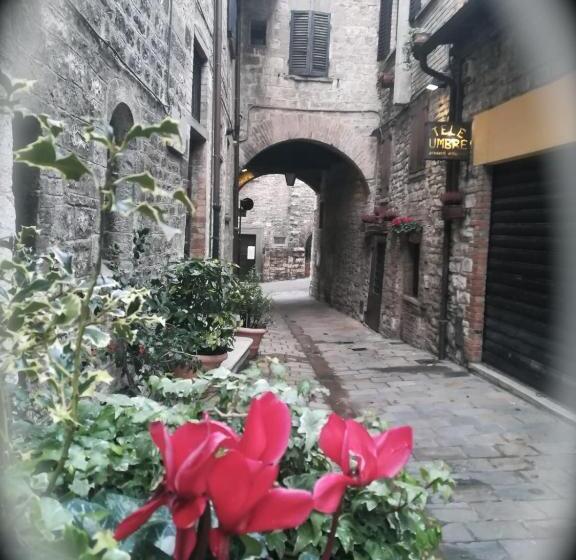 膳宿费 Affittacamere In Centro