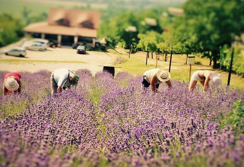 膳宿费 Borárium Vendégházak Zen Gő Ház