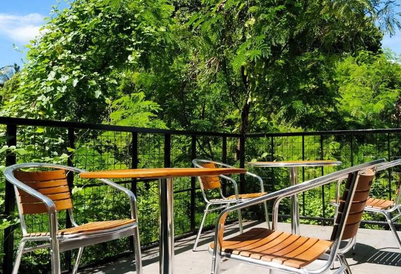 پانسیون Eden Blue