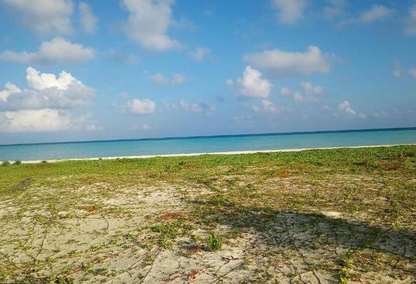 پانسیون Eden Blue