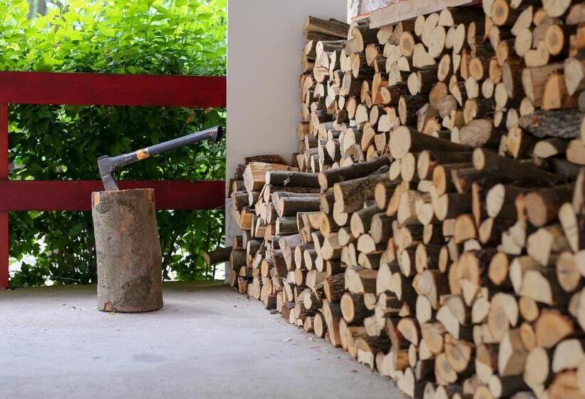 פנסיון Fűzfa Vendégház