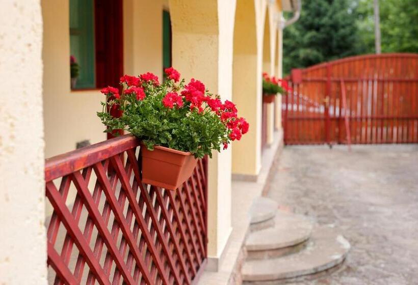 פנסיון Fűzfa Vendégház