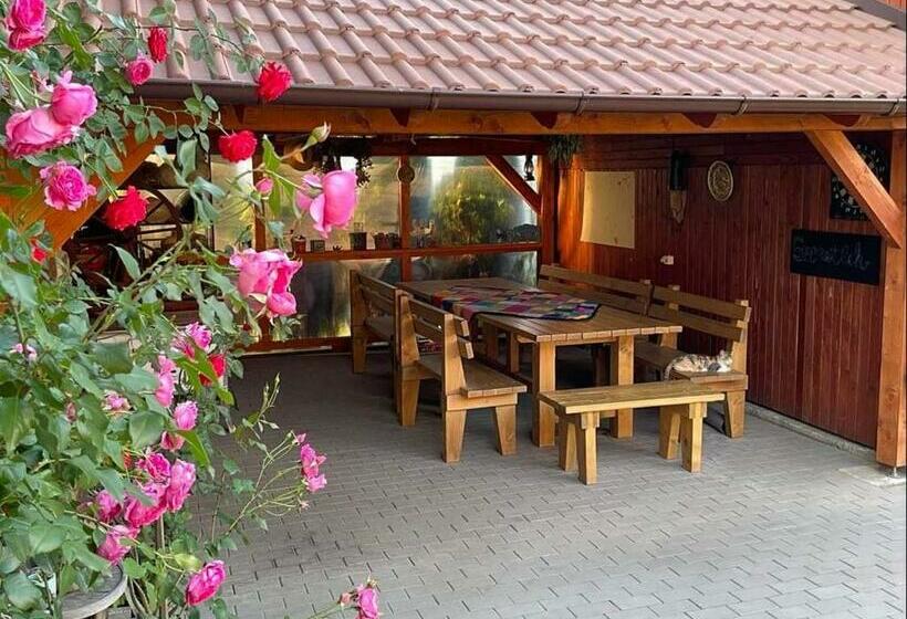 פנסיון Gáll Vendégház