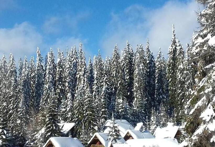 פנסיון Gáll Vendégház