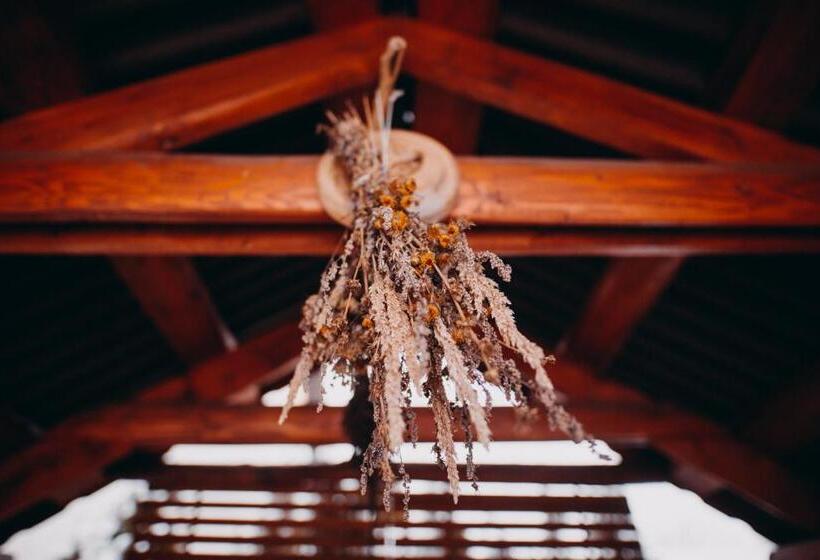 פנסיון Gáll Vendégház