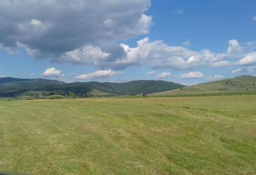 פנסיון Gáll Vendégház