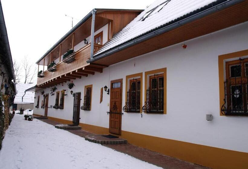 펜션 Penzión Aurel