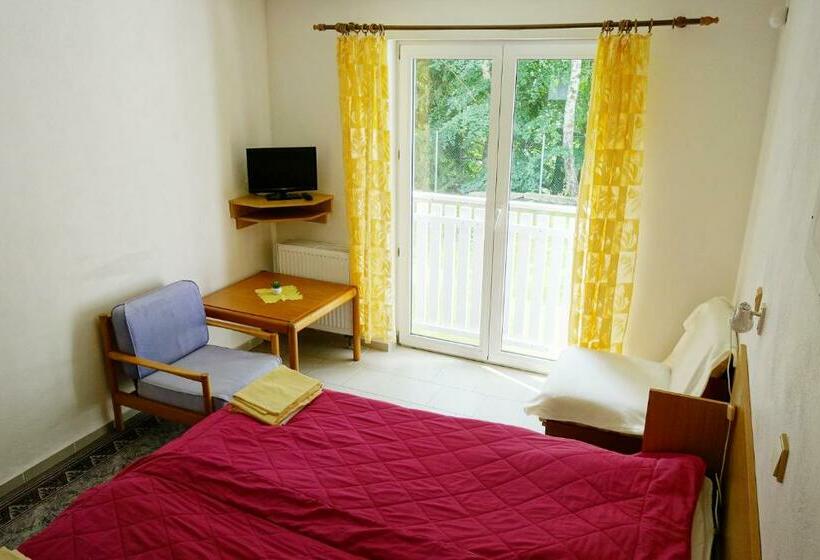 펜션 Penzion Jája Lipno Nad Vltavou