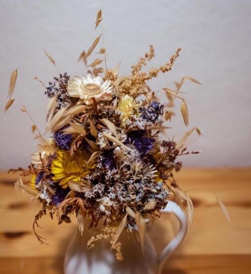 پانسیون Penzion Statek U Rajtrů