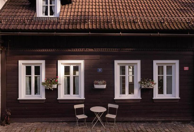 پانسیون Penzion Statek U Rajtrů