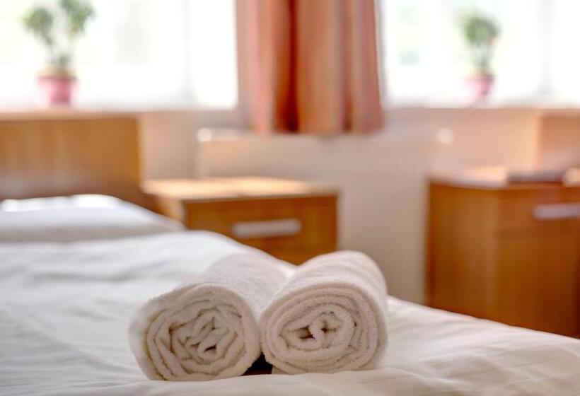 ペンション Penzion Tillerova Vila