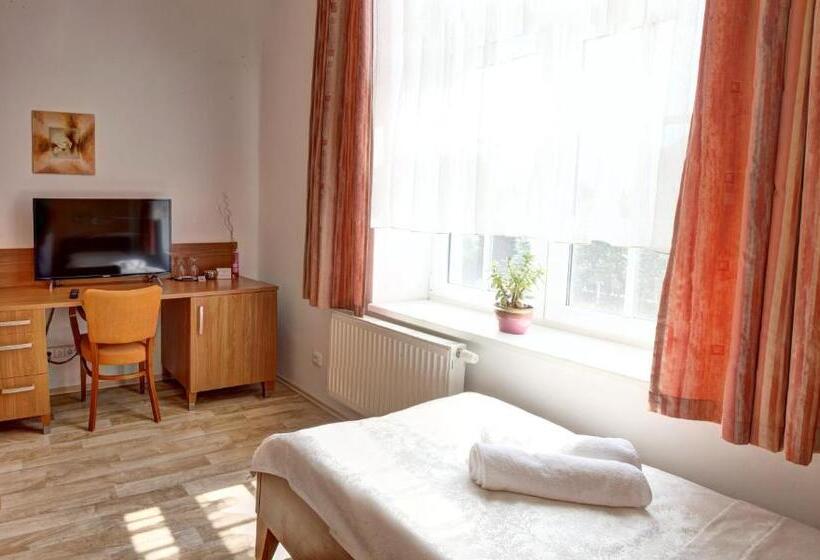 ペンション Penzion Tillerova Vila