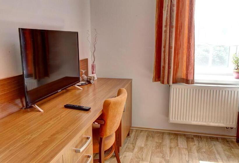 ペンション Penzion Tillerova Vila