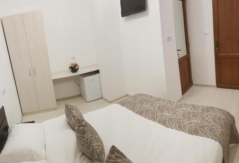 膳宿费 Vila șaguna