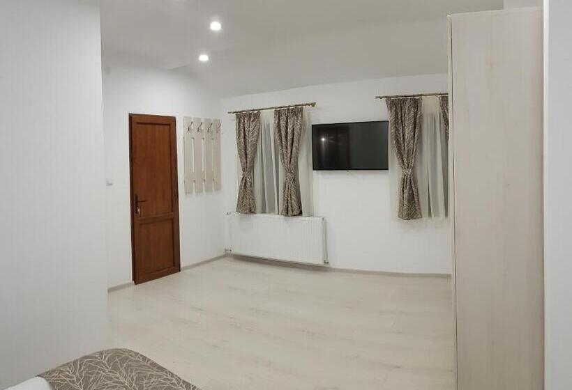 膳宿费 Vila șaguna