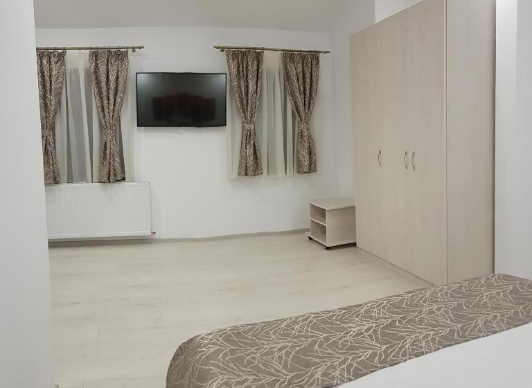 膳宿费 Vila șaguna