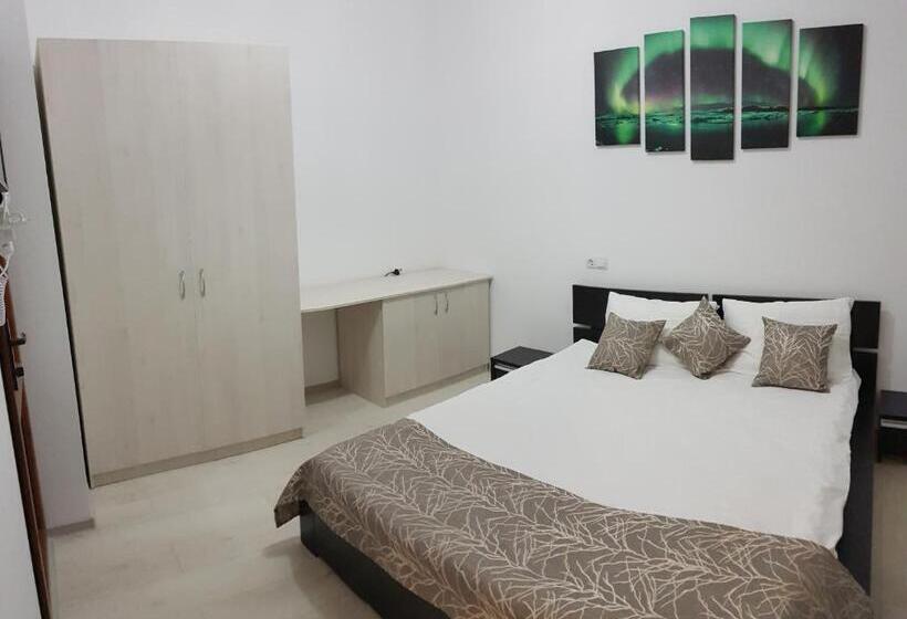 膳宿费 Vila șaguna