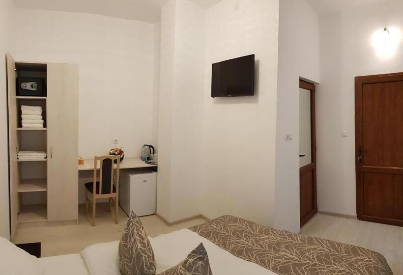 膳宿费 Vila șaguna