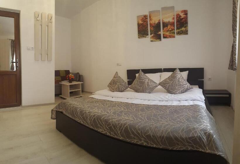 膳宿费 Vila șaguna