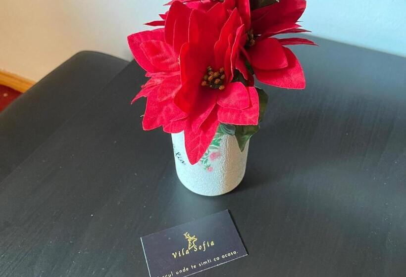 ペンション Vila Sofia