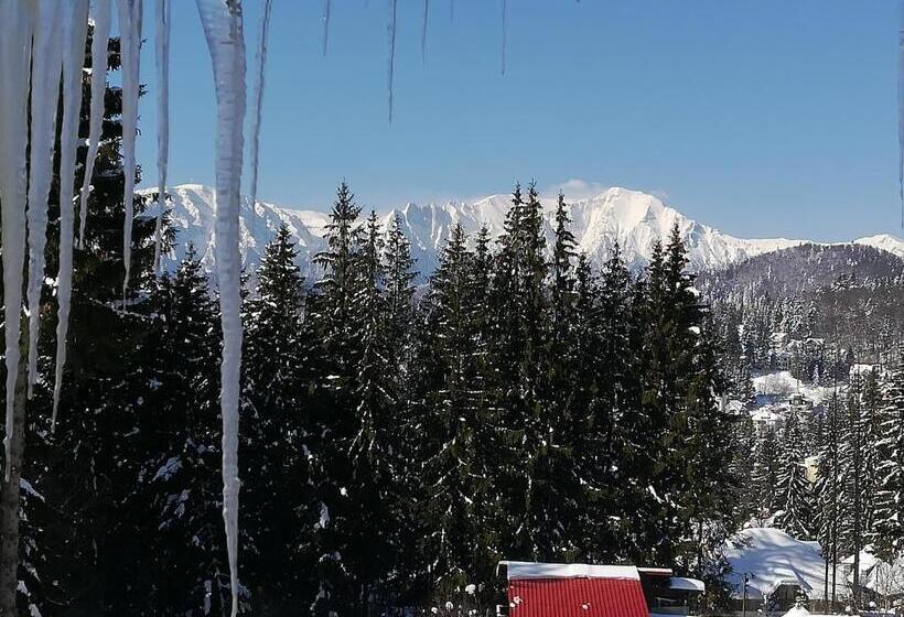 ペンション Vila Sofia