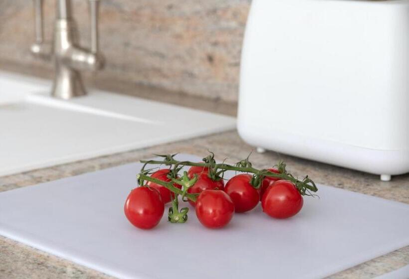 Snowdonia Holiday Cottage