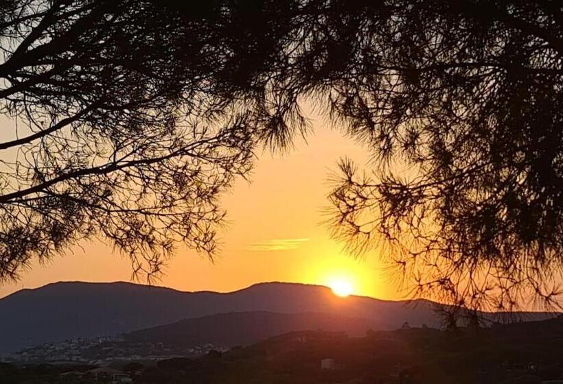 Ste Maxime Villa 5 Etoiles Piscine Chauffée Et Jacuzzi