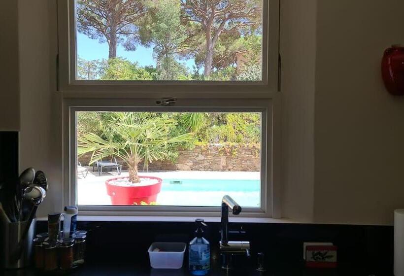 Ste Maxime Villa 5 Etoiles Piscine Chauffée Et Jacuzzi
